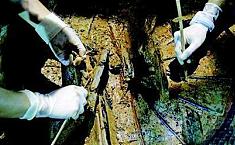 西汉海昏侯墓发现大型<b>车马</b>坑 有5辆木质彩绘车