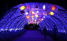 第五届广州国际<b>灯光节</b>在本周六晚正式开幕