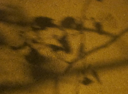 QQ截圖20151113165840.png