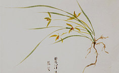 【精编】张伯驹《楚泽流芳》现身<b>长春</b>秋拍会