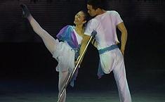 <b>书画拍卖</b>歌舞义演 为残疾人艺术团募捐