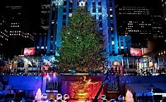 圣诞将来临 欣赏全球<b>各地</b>最美的圣诞树