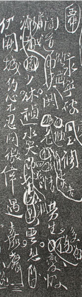 image003.jpg image003.jpg