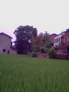 630182466.jpg