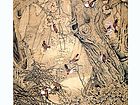 画家康利民花鸟作品《秋声》