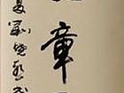 秋水文章不染尘