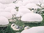 画家索铁生山水作品《初雪送瑞》