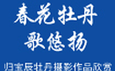春花牡丹歌悠扬