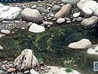 碧泉流春