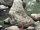 随遇而安