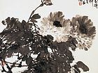 富贵牡丹