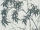 兰竹