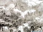 画家解金峰山水作品《岚凝空翠》