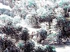 画家解金峰山水作品《三月家家浴春风》