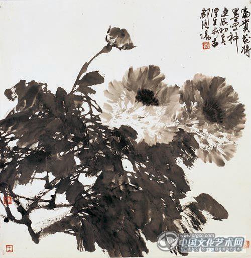 富贵牡丹