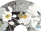荷露清香