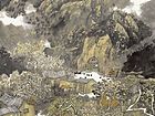 木落识岁秋