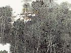 雾锁山乡