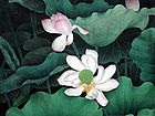 画家郭伊滨花鸟作品《荷花》