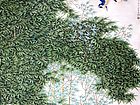画家郭伊滨花鸟作品《一笙诗风》
