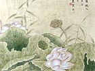 国画家常丽霞工笔花鸟作品