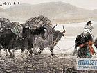 甘南行旅