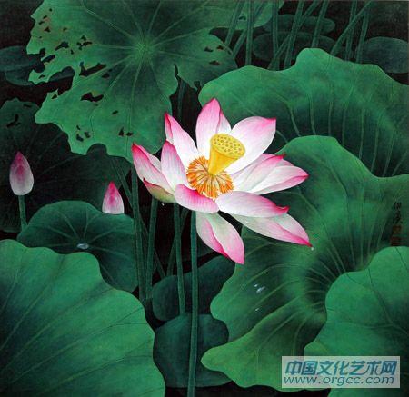 画家郭伊滨花鸟作品《荷》