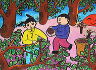 美丽的樱桃沟