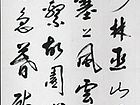 程进学作品