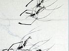 戏水