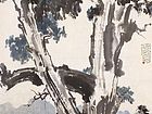 大树双马