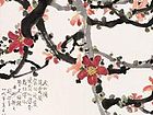 木棉