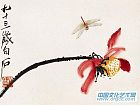 花卉草虫之荷花蜻蜓图