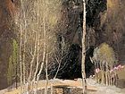 山间春色