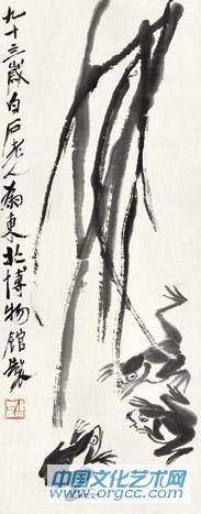 苇蛙图