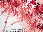 清风明月