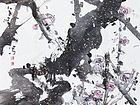 画家解金峰花鸟作品《六月洞中开梅花》