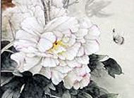 牡丹28
