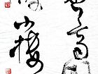 花香书凉
