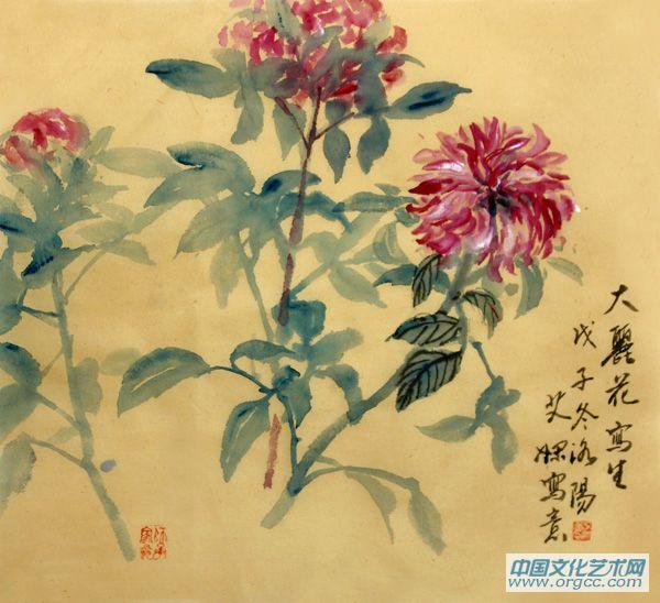 大丽花写生
