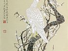 画家吴惠敏工笔花鸟作品《幽谷那堪更北枝》