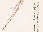 红叶玉鸦
