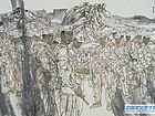 国画人物