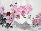 富贵花开