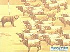 笛声