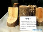 领春木