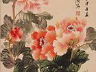 寿安红