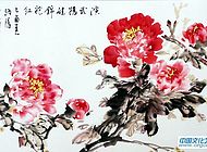 錦袍紅