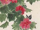花卉作品【三】