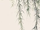 花鸟作品【二】